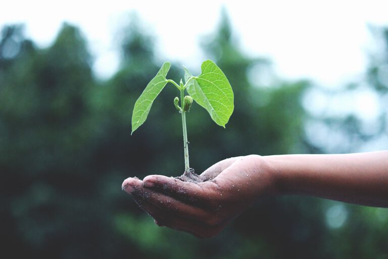 Want to grow your HSA? Contribute!