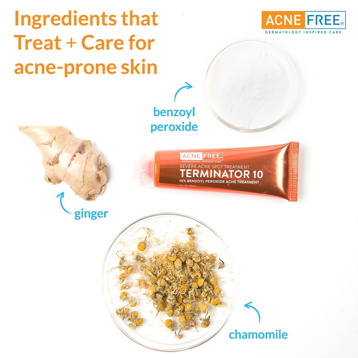 AcneFree Terminator 10 Acne Spot Treatment, 1 oz., , large