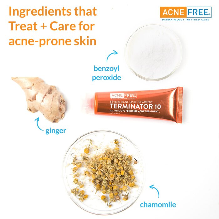 AcneFree Terminator 10 Acne Spot Treatment, 1 oz., , large