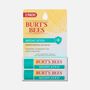 Burt&rsquo;s Bees Medicated Lip Balm, 2-Pack, 0.15 oz., , large image number 0
