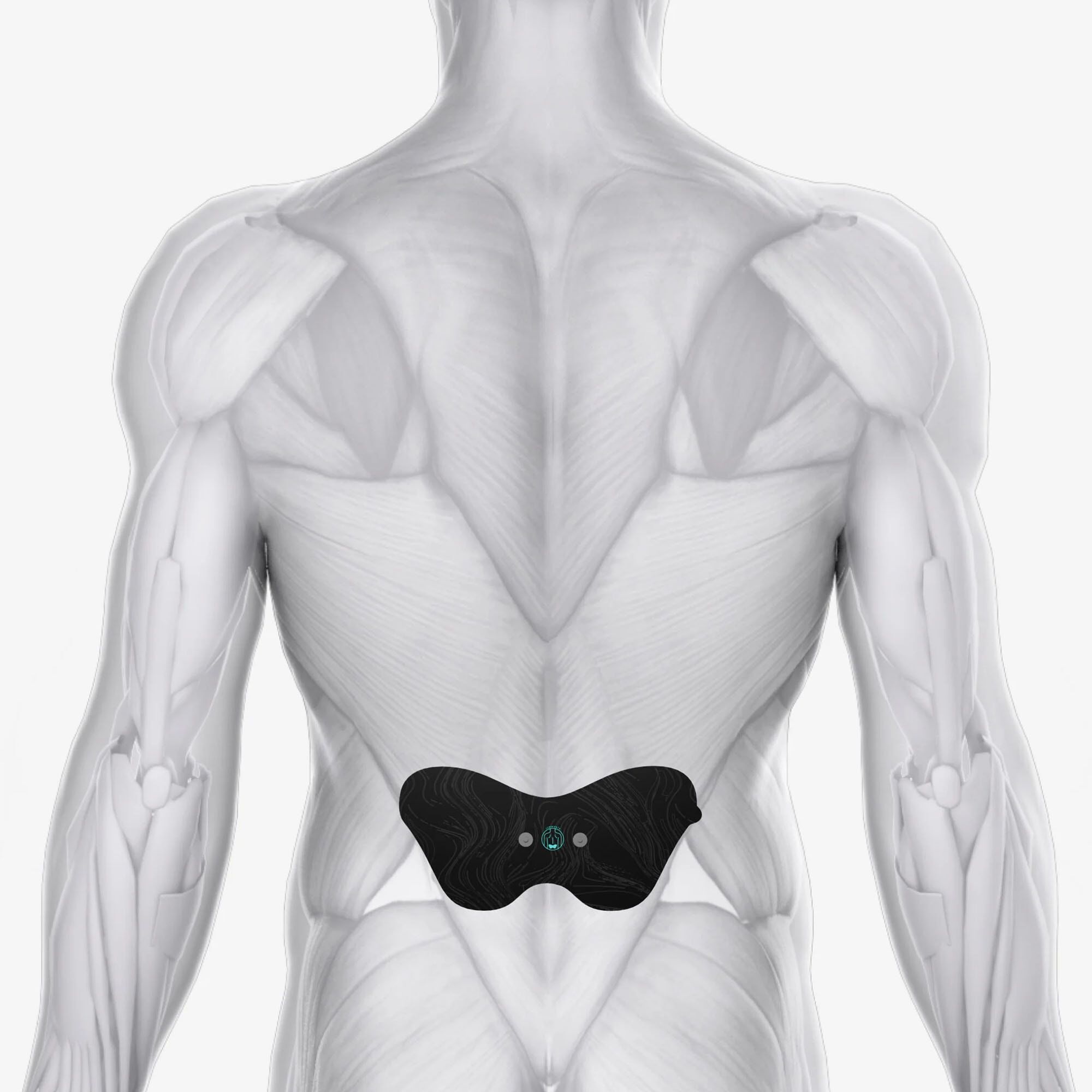Chirp Halo Lower Back Pad, 2-Pack, , large