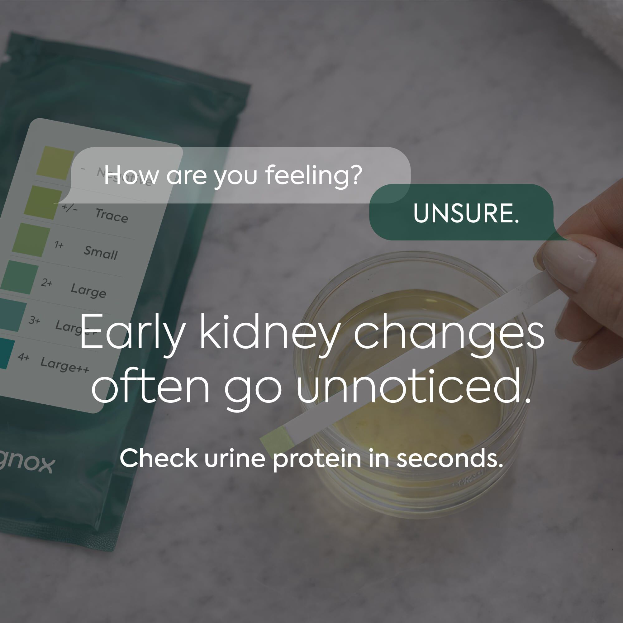 Diagnox Urine Protein Test Strips, At-Home Test for Protein Detection and Kidney Health, 30 ct., , large