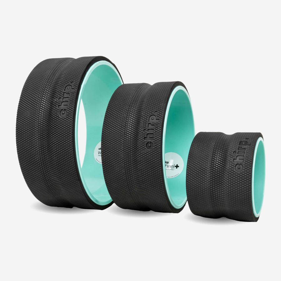 Chirp Wheel+ 3-Pack, , large image number 0