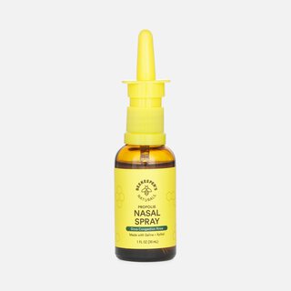Beekeeper's Naturals Propolis Nasal Spray, 1 fl oz.