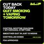 Blip Nicotine Mini Lozenges, Mint Freeze, 4mg, 27 ct., , large image number 2