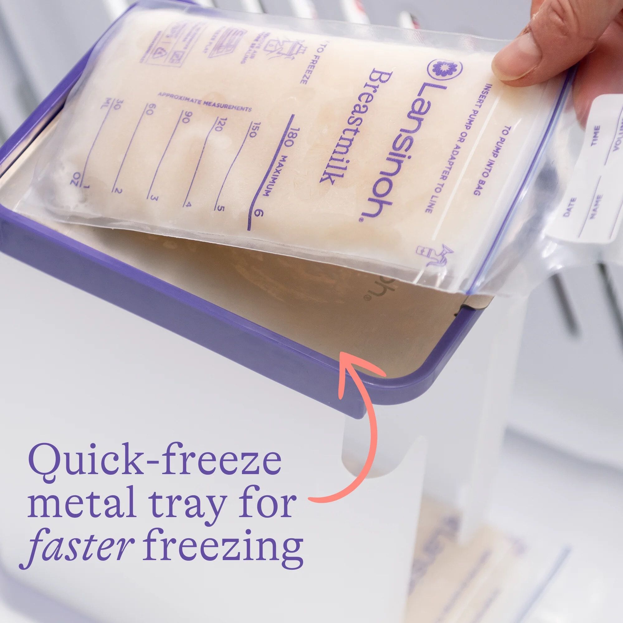Lansinoh Breastmilk Bags Storage Container, , large